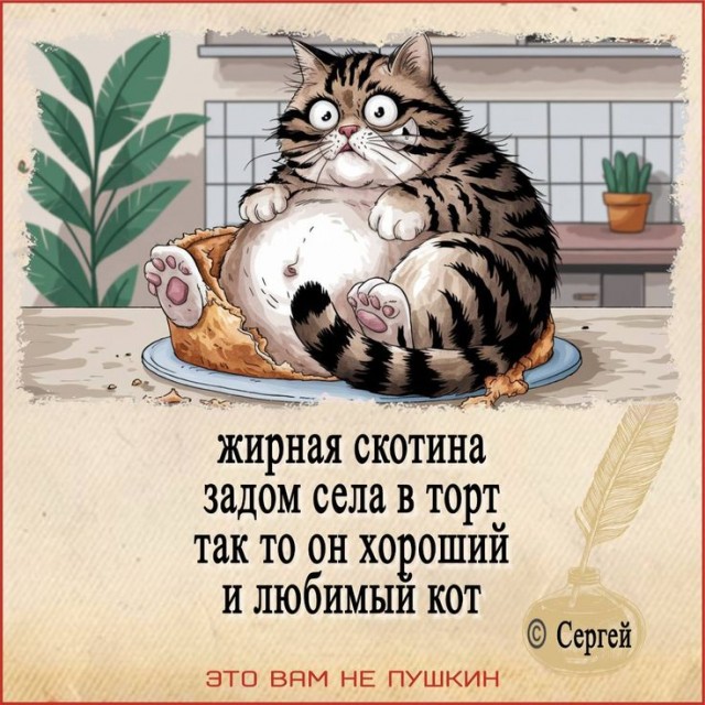 Прикольные и просто красивые картинки 28.11.2025