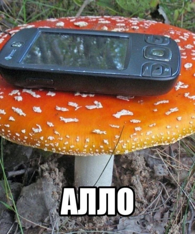 Понедельника картинки