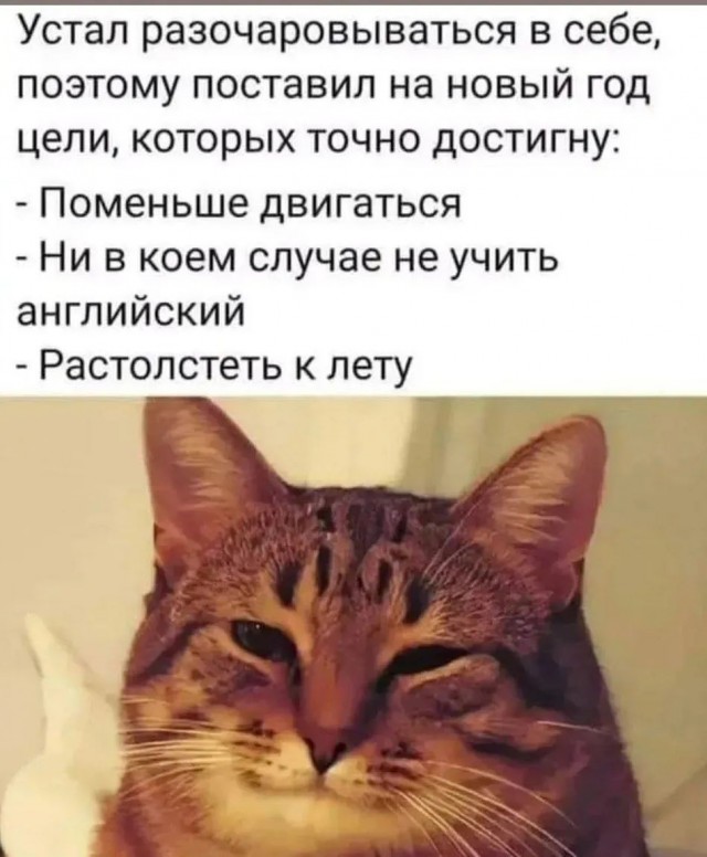 Среды картинки
