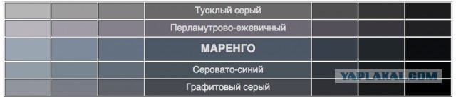 Какого цвета кофта?