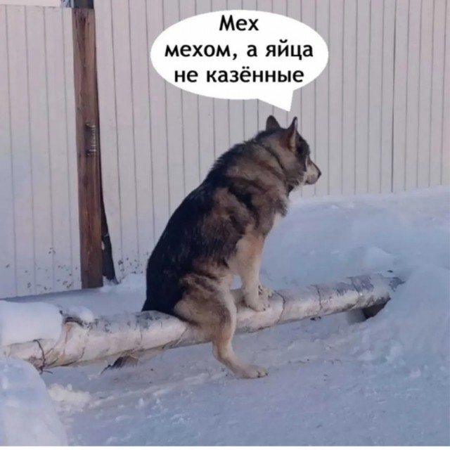 Вторника картинки