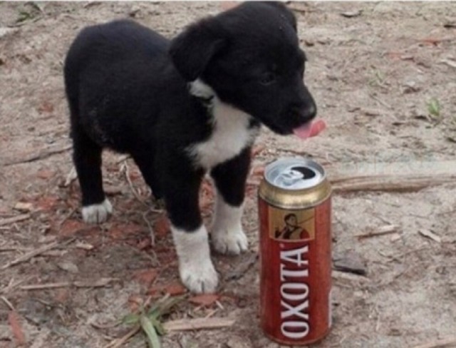 Так себе картинки 18.02.26