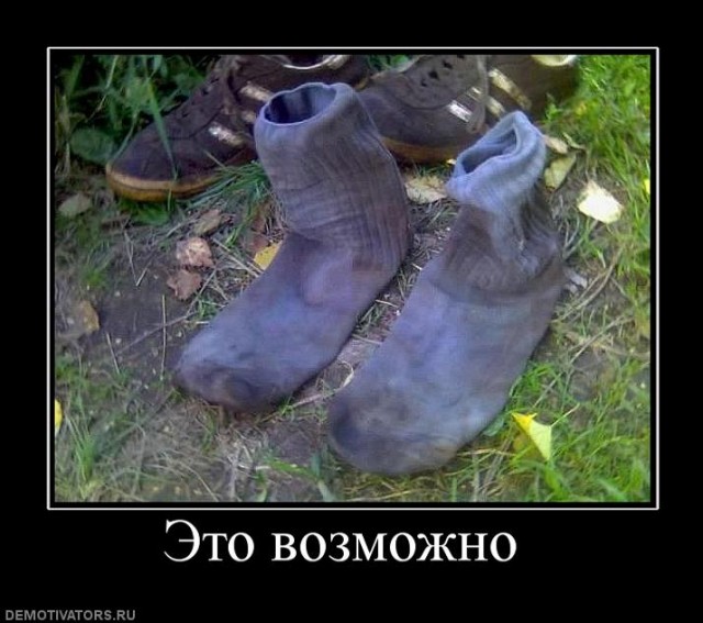 Склад баянов