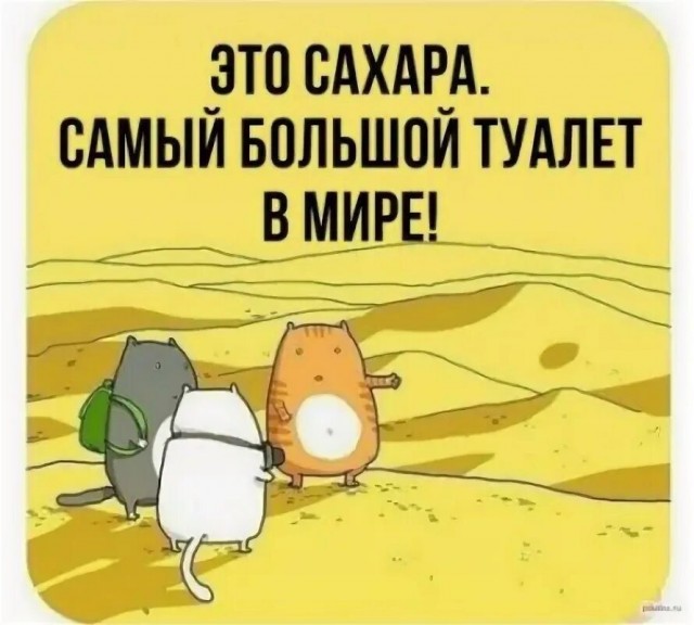 Лайфхак для тех кто в пустыне