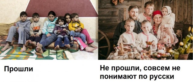 Каждый третий ребёнок мигрантов не прошёл тест по русскому языку
