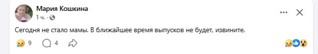 Жизнь домашнего приюта для котеек 577