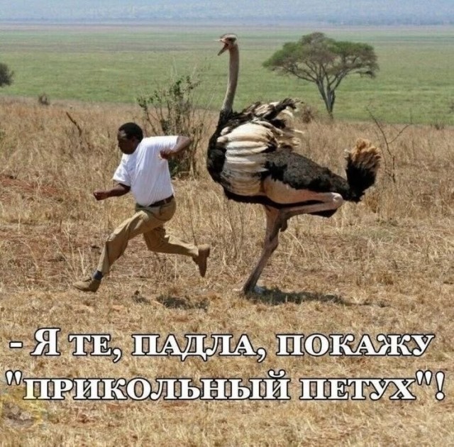 Веселые картинки в пятницу 07.08