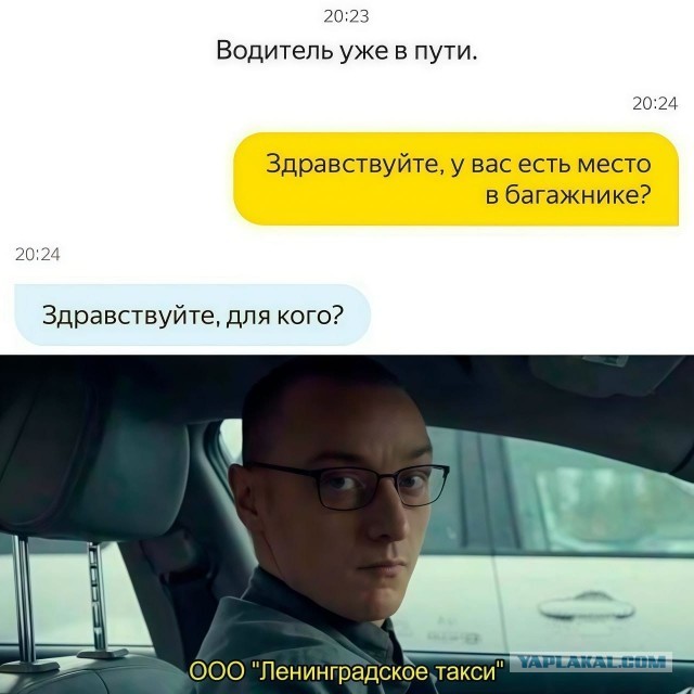 Прикольные и просто красивые картинки 01.09.2026
