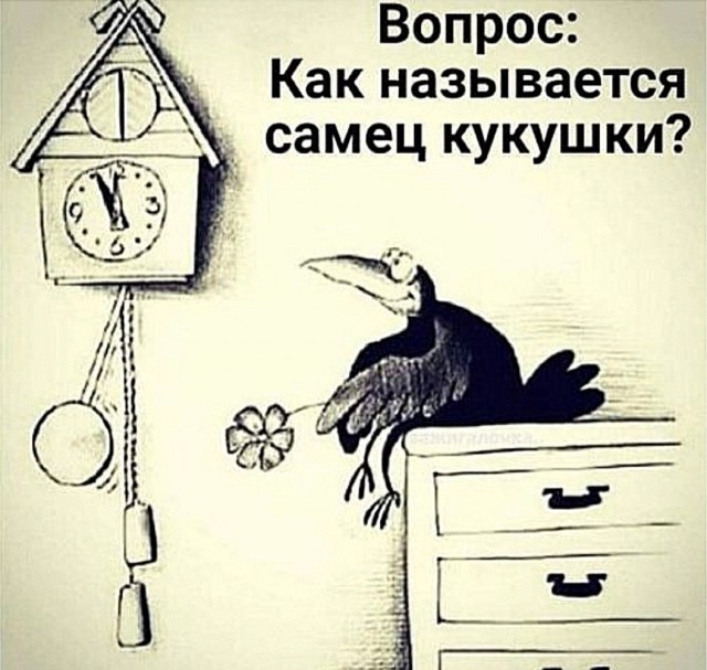 Прикольные и просто красивые картинки 04.09.2026