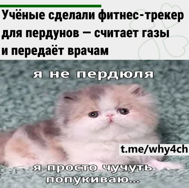 Появился фитнес-трекер для пердунов — считает газы и передаёт врачам.