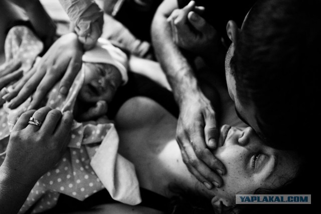 Как рождаются дети