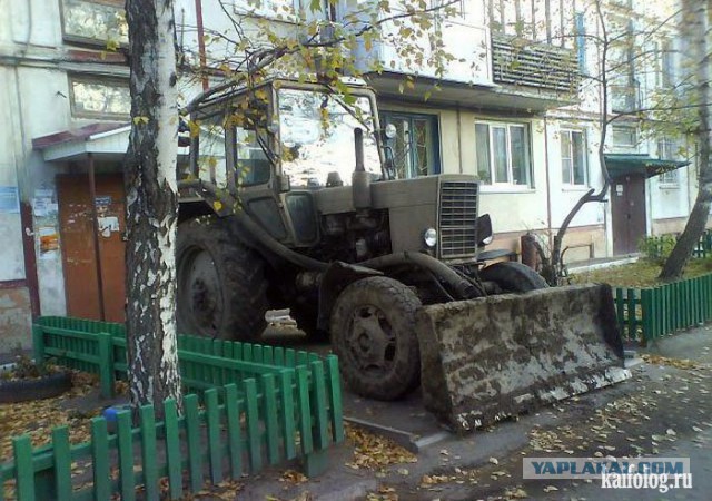 Весёлые картинки. Разбавим будни