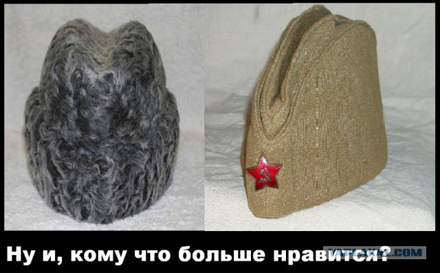 Движение женщин против эпиляции.