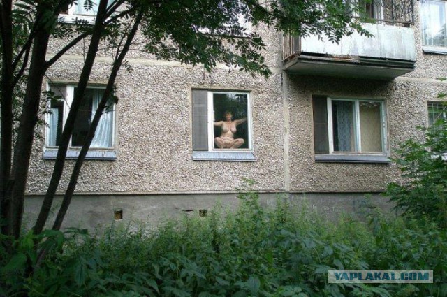 Юмор ниже пояса