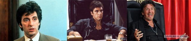 Вечно молодой, вечно пьяный