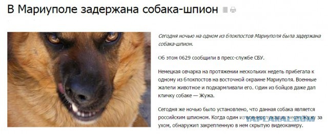 10 политических картинок часть 11