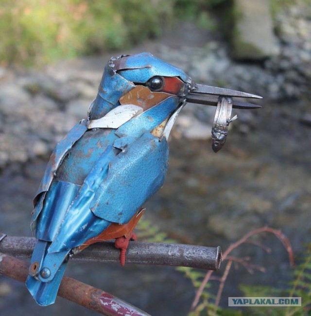 Среда в картинках