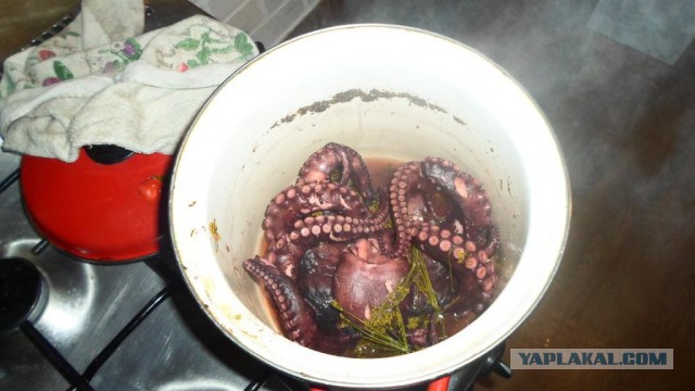 Аццкая кухня 2  (кулинарный адъ)