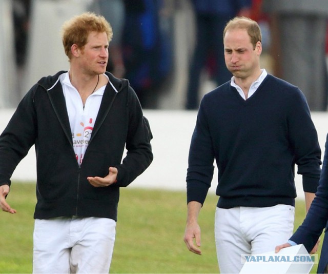 Знаменитости и их родные братья с сестрами