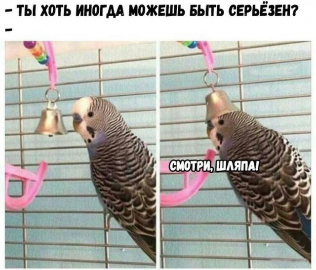 Подборка интересных и веселых картинок