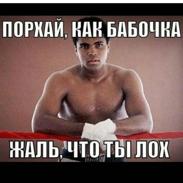 Подборка интересных и веселых картинок