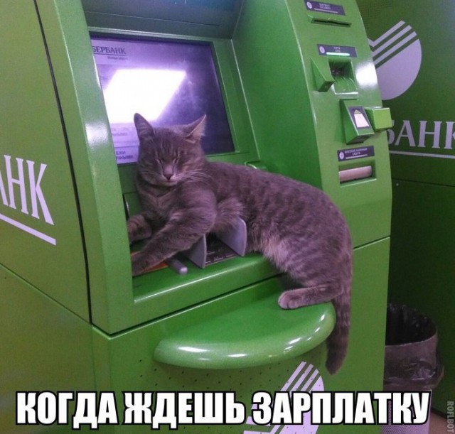 Картинки всякие для поднятия настроения!