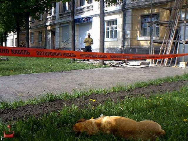 Подборка интересных и веселых картинок