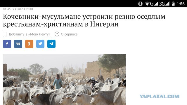 15-летний беженец заколол немку на глазах 20 человек