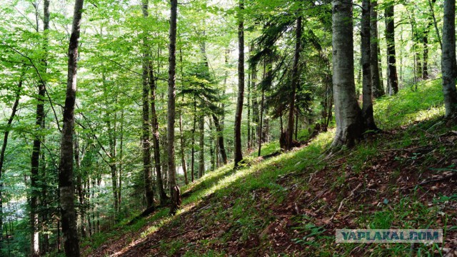 Просто Природа