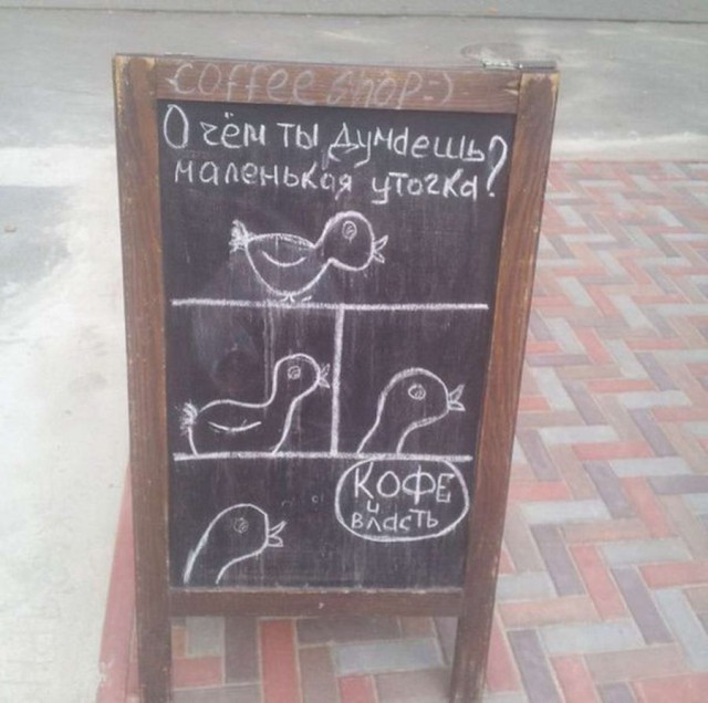 Подборка интересных и веселых картинок