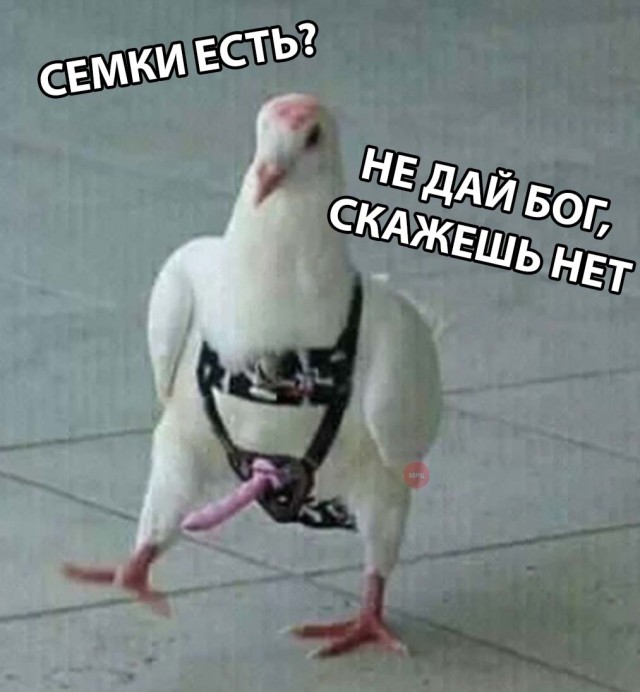 Нестандартный юмор