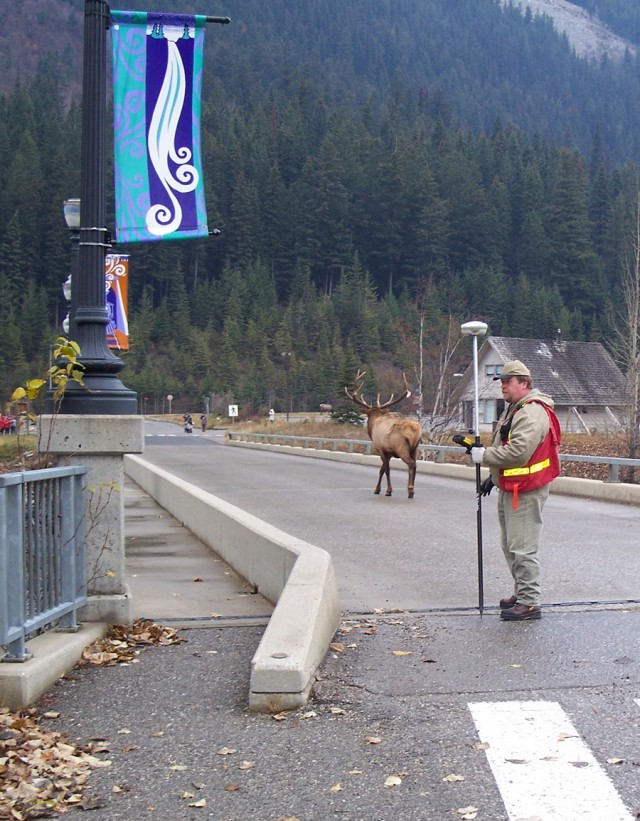 Командировка. В леса