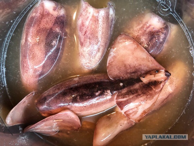 Котлеты из кальмара