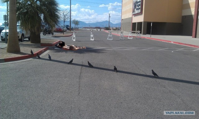 Что-то жарко сегодня...