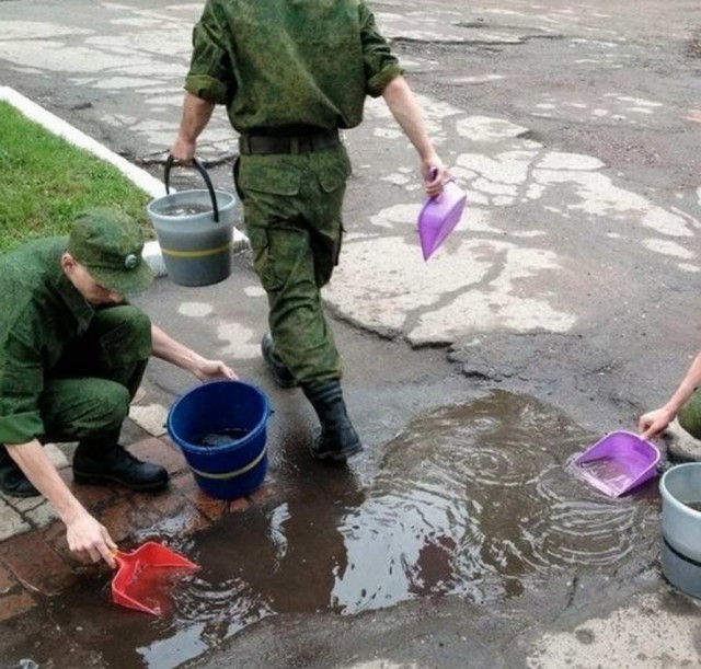 Скотсети и прочие интернеты 06.09.19