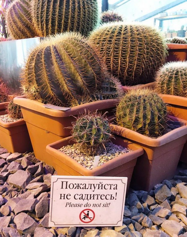 Хорошо когда никуда не надо вставать или верните лето!