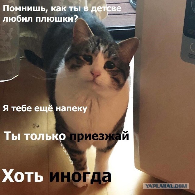 Отель "Бабуля"