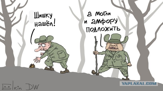 Путин и Шойгу насобирали грибов в тайге