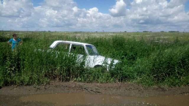 Хорошо в деревне летом