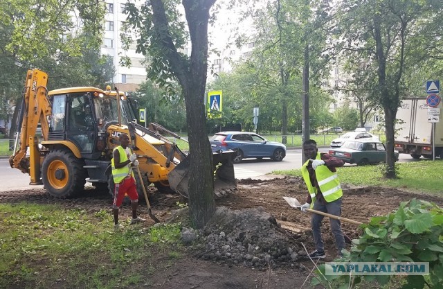 Нарвался на карликов