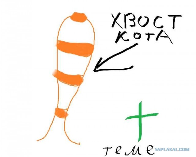 Охота на педофилов