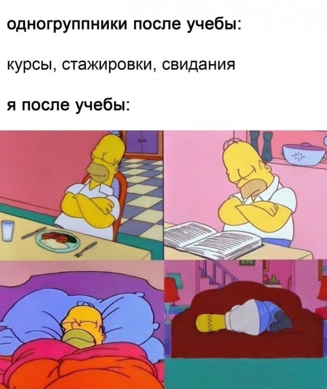 Весёлый полтишок 26.03