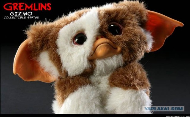 Грустный обиженный котёнок