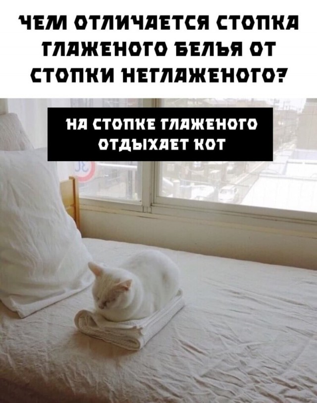 Баянисто-небаянистый юмор 15.05.21