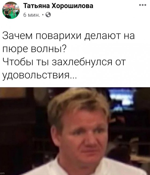 Весёлый полтишок 23.07