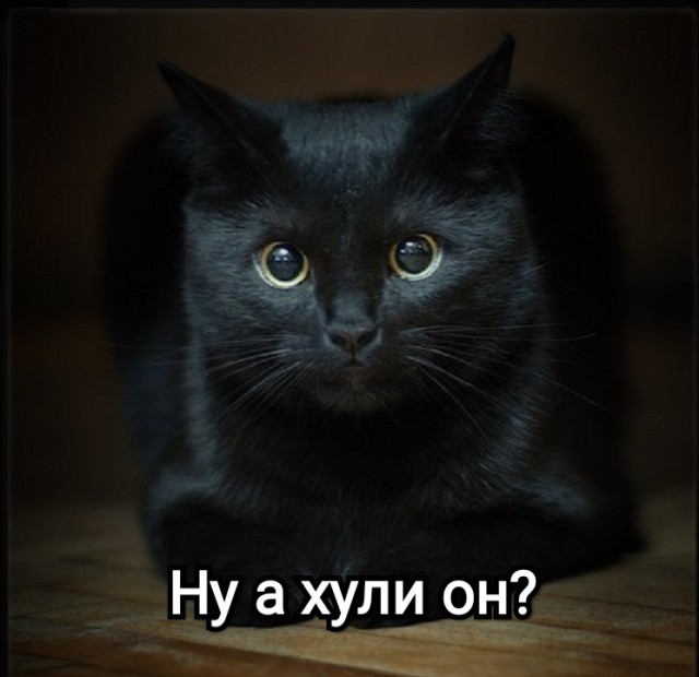 Ну вот за что?