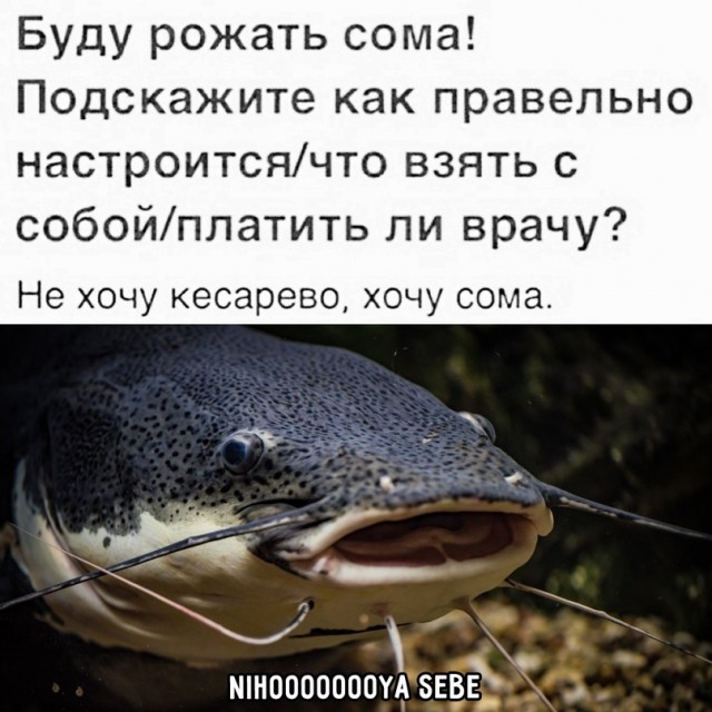 Картинки и мемы для настроения 03.11.2021