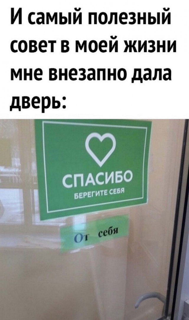 Всяческие картинки 24.12.2021