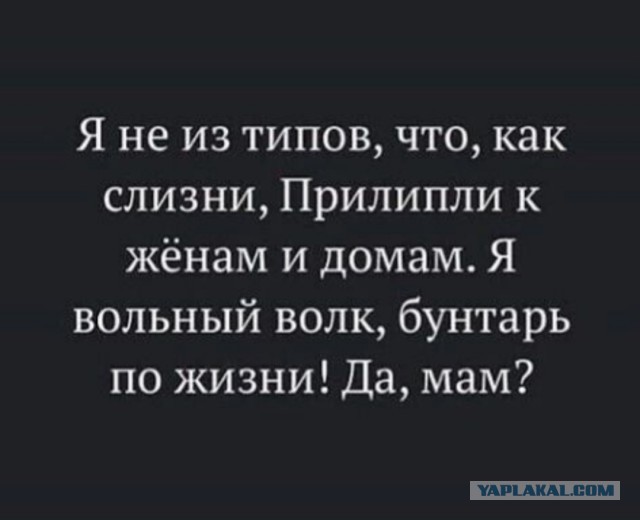 Все правильно сказал