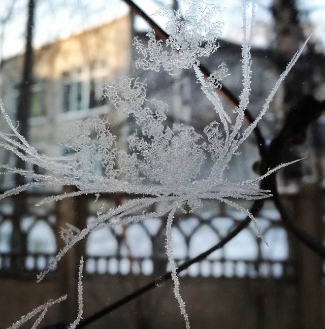 Фотки с телефона.